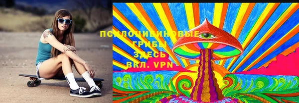 скорость Няндома
