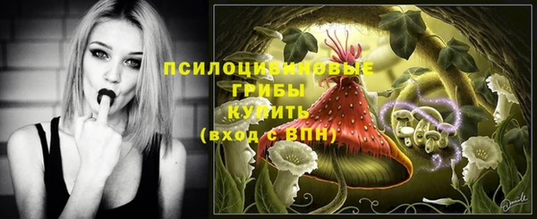скорость Няндома