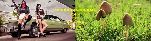кокс Нягань