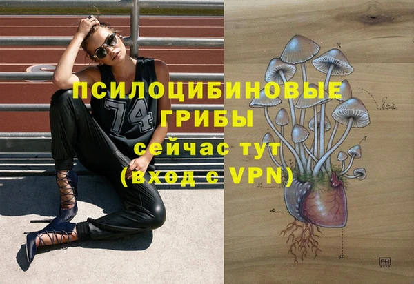 кокс Нягань