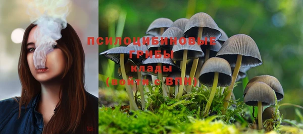 кокс Нягань