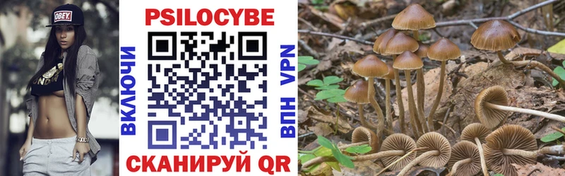 как найти наркотики  OMG ссылки  Галлюциногенные грибы мицелий  мориарти наркотические препараты  Калининец 